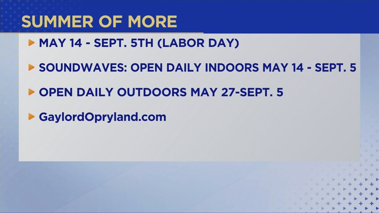 3 Plus Your Fun- Gaylord Opryland Hotel